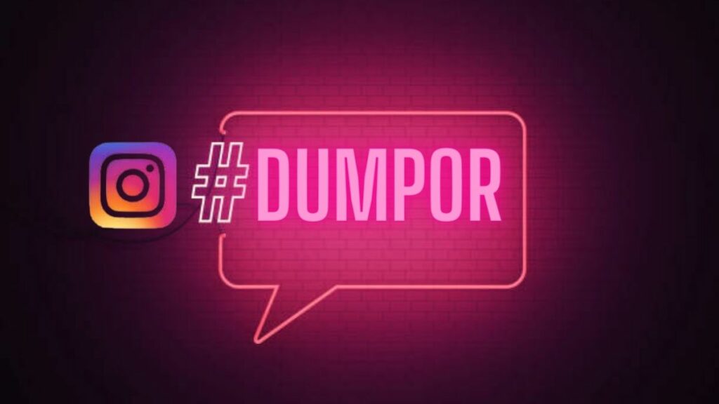 How Does Dumpor Work?